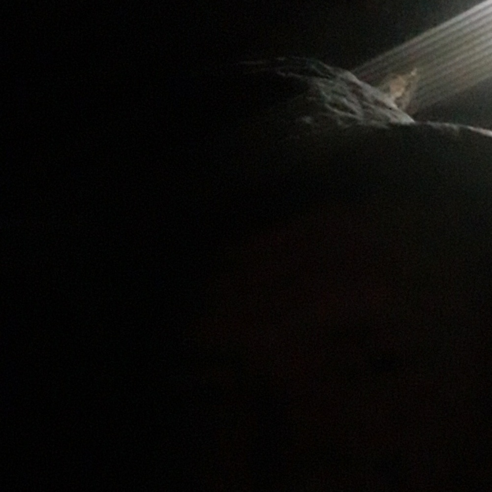 Meet your Posher, Isaac boone